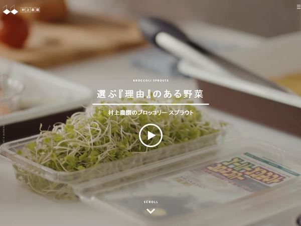 選ぶ『理由』のある野菜