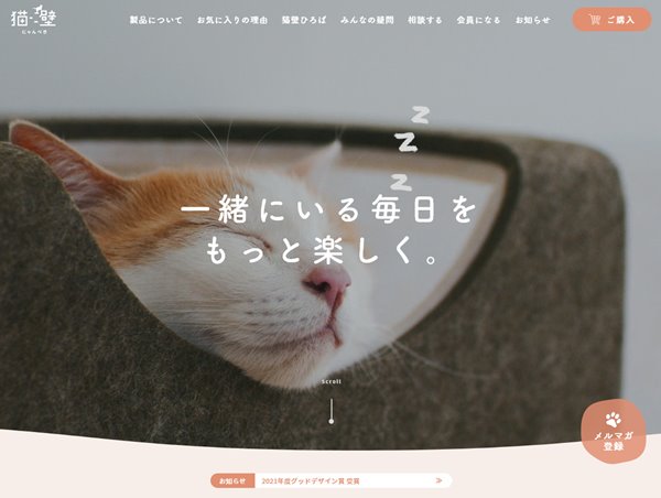 猫壁