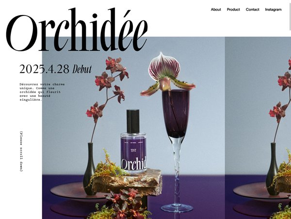 Maison Orchidée